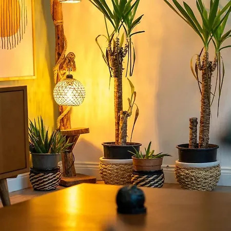 Forest Inspired Designed 1br Luxury Flat In Tomtom Κωνσταντινούπολη