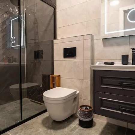 Appartement Chic And Modern Flats In Firuzga, Beyoglu *